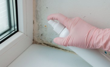 get rid of mould and mildew