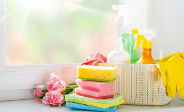 Carpet Cleaning recommended products