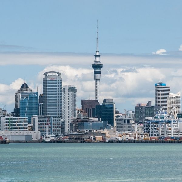 Auckland CBD commercial cleaners
