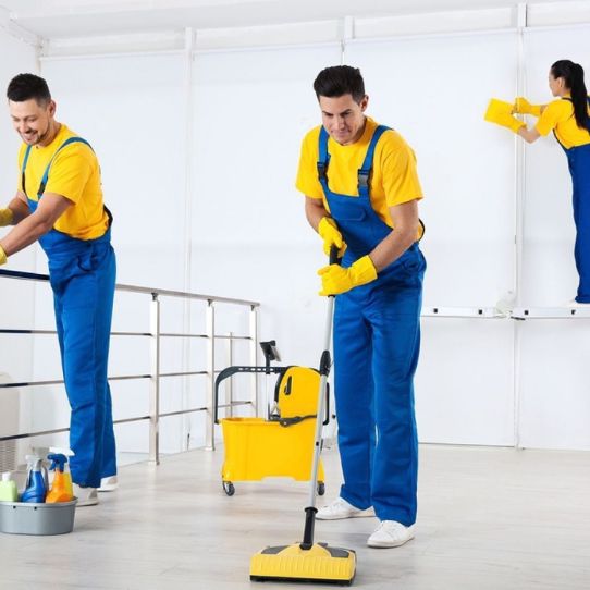 Commercial Cleaning  Aro Valley 
