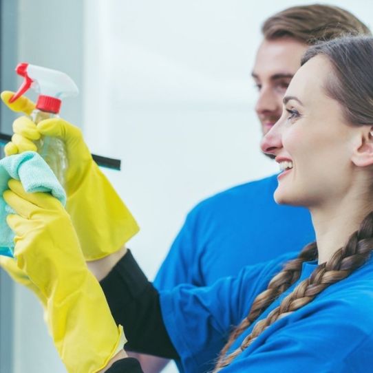 commercial cleaners wairau valley