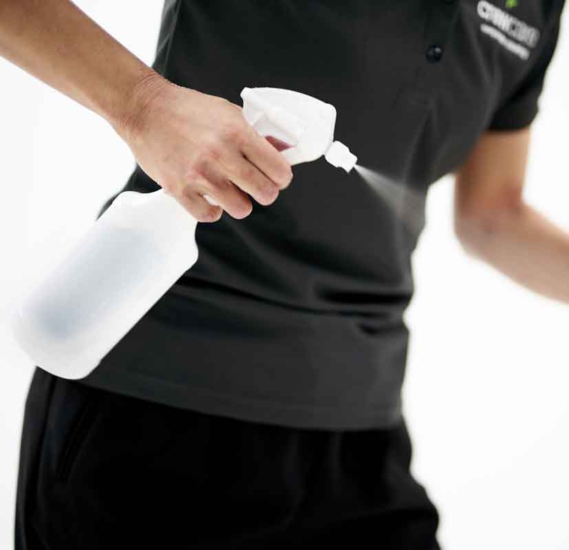 Commercial Cleaning Business Essentials