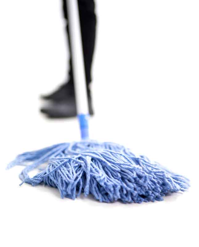 Commercial Cleaning Business Essentials